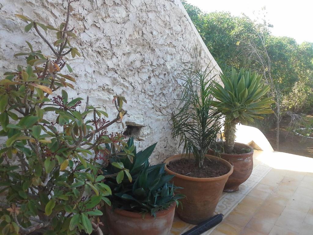 La Maison Essaouira Hotel Exterior photo